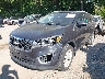 5XYPG4A31HG****** Salvamento y Reparables 2017 Kia Sorento en Estado de Indiana