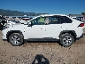 2T3G1RFV5PW****** Salvage 2023 Toyota RAV4