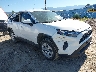 2T3G1RFV5PW****** Salvage and Wrecked 2023 Toyota RAV4 in Missoula