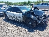 2C3CDXAT1PH****** Salvage and Wrecked 2023 Dodge Charger Police in Greenville