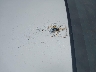 KMHDH4AE6FU****** Salvage and Repairable 2015 Hyundai Elantra in South Carolina State