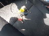 1N4AL3AP3HC****** Salvage 2017 Nissan Altima in Maryland State