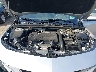1G1ZD5ST6KF****** Reparables 2019 Chevrolet Malibu en Richmond