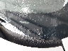 KM8HC3AB1RU****** Used and Repairable 2024 Hyundai Kona in Austin North