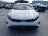 3KPF54AD3PE****** Reparables 2023 Kia Forte en Estado de Texas