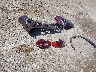 5XYPKDA54KG****** Wrecked 2019 Kia Sorento in Ohio State