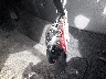 KM8HF3AB7TU****** Salvamento 2026 Hyundai Kona en Estado de Maryland