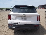 5XYRLDLC7MG****** Usados 2021 Kia Sorento