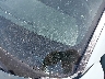 5NTJC4AE9PH****** Reparables 2023 Hyundai Santa Cruz
