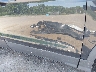 1FMCU0G97EU****** Destrozados 2014 Ford Escape