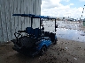 0000000LTA0****** Salvage and Wrecked 2021 ICON Electric Vehicles Golf Cart in Texas State