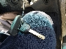 2HKYF18673H****** Salvage 2003 Honda Pilot in North Carolina State