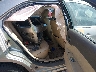 3FAHP08189R****** Wrecked 2009 Ford Fusion in Portage