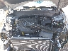 5XYP5DGC2SG****** Repairable 2025 Kia Telluride in Cleveland