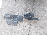 1D7RV1CT1BS****** Wrecked 2011 RAM Ram 1500 in Ohio State
