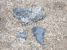 1HGCV1F57JA****** Wrecked 2018 Honda Accord in Michigan State