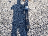 41YAB2213J1****** Repairable 2018 Bear Boat Trailer in Saint Louis