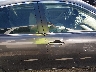 4T4BE46K79R****** Repairable 2009 Toyota Camry in Oklahoma State