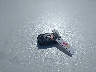 2T3YFREV0GW****** Salvamento 2016 Toyota RAV4 en Estado de Wisconsin