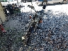 LXDPCNPD1C1****** Used and Repairable 2012 Dongfang 250 Mc in Florida State