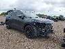 3GNKBCRS9LS****** Salvage and Wrecked 2020 Chevrolet Blazer in McAllen