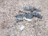 3VWCM7BU3NM****** Wrecked 2022 Volkswagen Jetta in Texas State