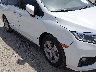 5FNRL6H79LB****** Reparables 2020 Honda Odyssey