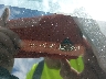 KNAFU4A20C5****** Used 2012 Kia Forte in Shady Spring