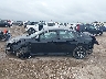2HGFC2F84LH****** Reparables 2020 Honda Civic en Estado de Texas