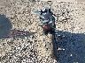 JYARM60E6TA****** Salvage and Repairable 2026 Yamaha YZF-R7 in Arizona State