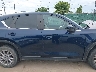JM3KFBCM8P0****** Reparables 2023 Mazda CX-5 en Estado de Texas