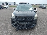 1FMCU9J91DU****** Destrozados 2013 Ford Escape en Estado de Minnesota