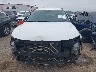 5NMJF3DE2RH****** Usados 2024 Hyundai Tucson en Estado de Texas