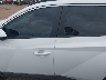 5NMJF3DE2RH****** Salvamento 2024 Hyundai Tucson