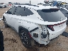 5NMJF3DE2RH****** Salvamento y Reparables 2024 Hyundai Tucson en Lubbock