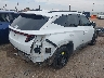 5NMJF3DE2RH****** Salvamento y Destrozados 2024 Hyundai Tucson en Estado de Texas