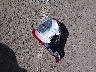 1FMSK7DH0MG****** Wrecked 2021 Ford Explorer in New Mexico State