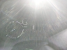 5TFCY5F14LX****** Salvamento 2020 Toyota Tundra en Springfield