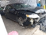 1LNHM94R49G****** Salvage and Wrecked 2009 Lincoln MKS in Minneapolis South