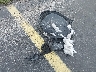 3KPF24AD8NE****** Wrecked 2022 Kia Forte in Florida State