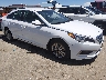 5NPE24AF3GH****** Salvage and Wrecked 2016 Hyundai Sonata in Denver East