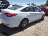 5NPE24AF3GH****** Salvage and Wrecked 2016 Hyundai Sonata in Colorado State