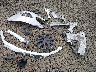 3FAHP0HA1BR****** Wrecked 2011 Ford Fusion in Oregon State