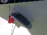 KM8JECA16NU****** Salvage 2022 Hyundai Tucson in California State