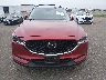 JM3KFBDM1K0****** Destrozados 2019 Mazda CX-5 en Estado de Minnesota