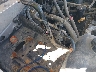 3GCPCSE0XCG****** Repairable 2012 Chevrolet Silverado 1500