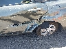 KMHLL4DG6SU****** Salvage and Repairable 2025 Hyundai Elantra in Nevada State