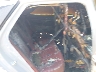 KNAG64J71S5****** Destrozados 2025 Kia K5 en Long Island