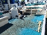 ETW1023***** Used and Repairable 2001 Bennington Pontoon 18' in Rec Rides Online Exclusive