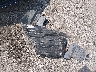 1N6AD0ER5JN****** Destrozados 2018 Nissan Frontier en Estado de Carolina del Sur